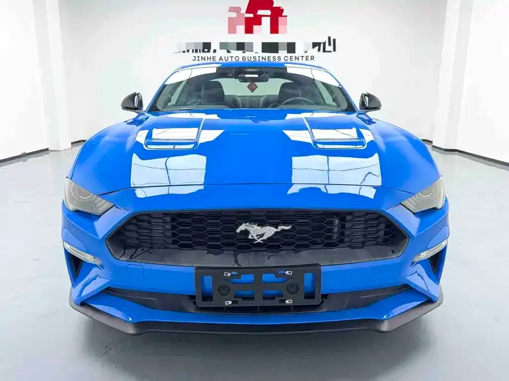 Ford Mustang — фото 5