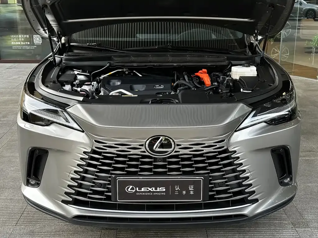 Lexus RX New Energy — фото 8