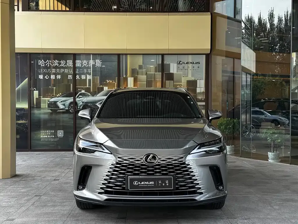 Lexus RX New Energy — фото 6