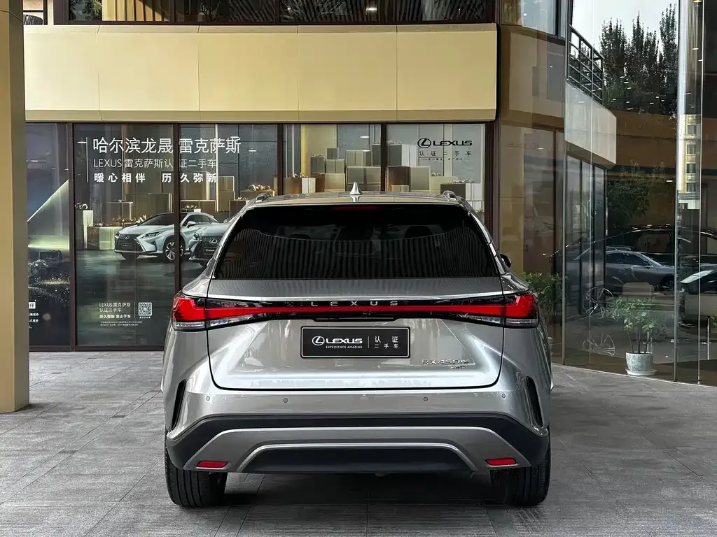 Lexus RX New Energy — фото 10