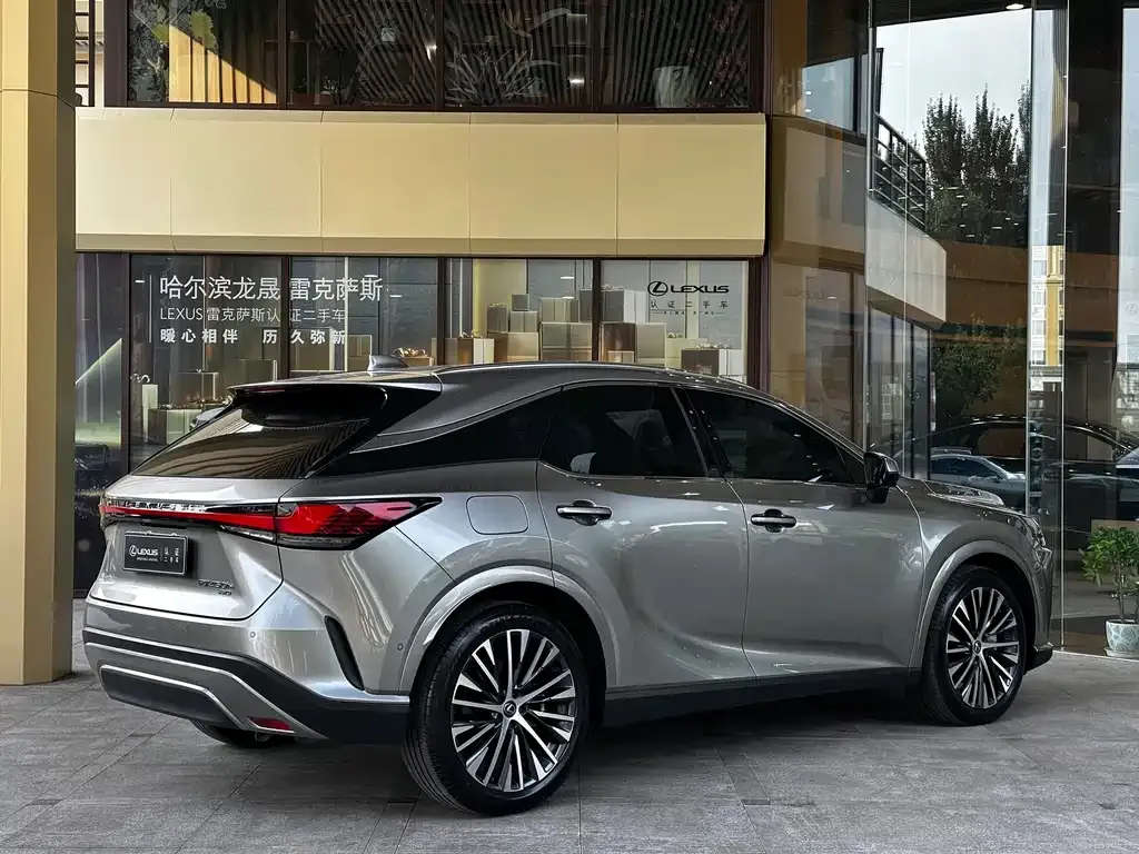 Lexus RX New Energy — фото 5