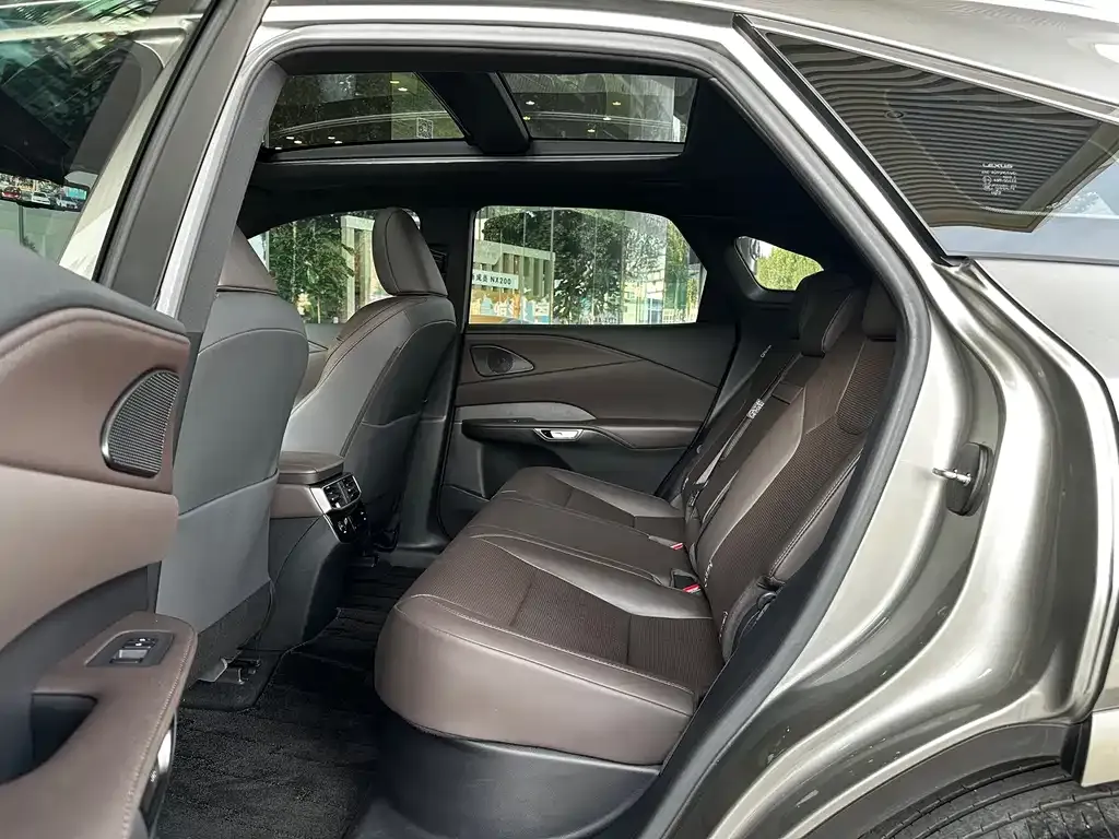 Lexus RX New Energy — фото 7
