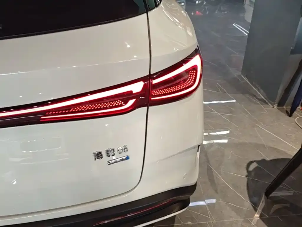 BYD Seal 06 DM-i Touring Edition — фото 2