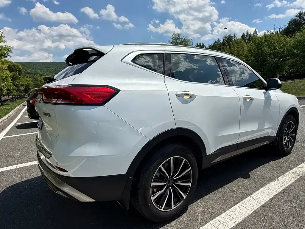 Haval H6 — фото 7