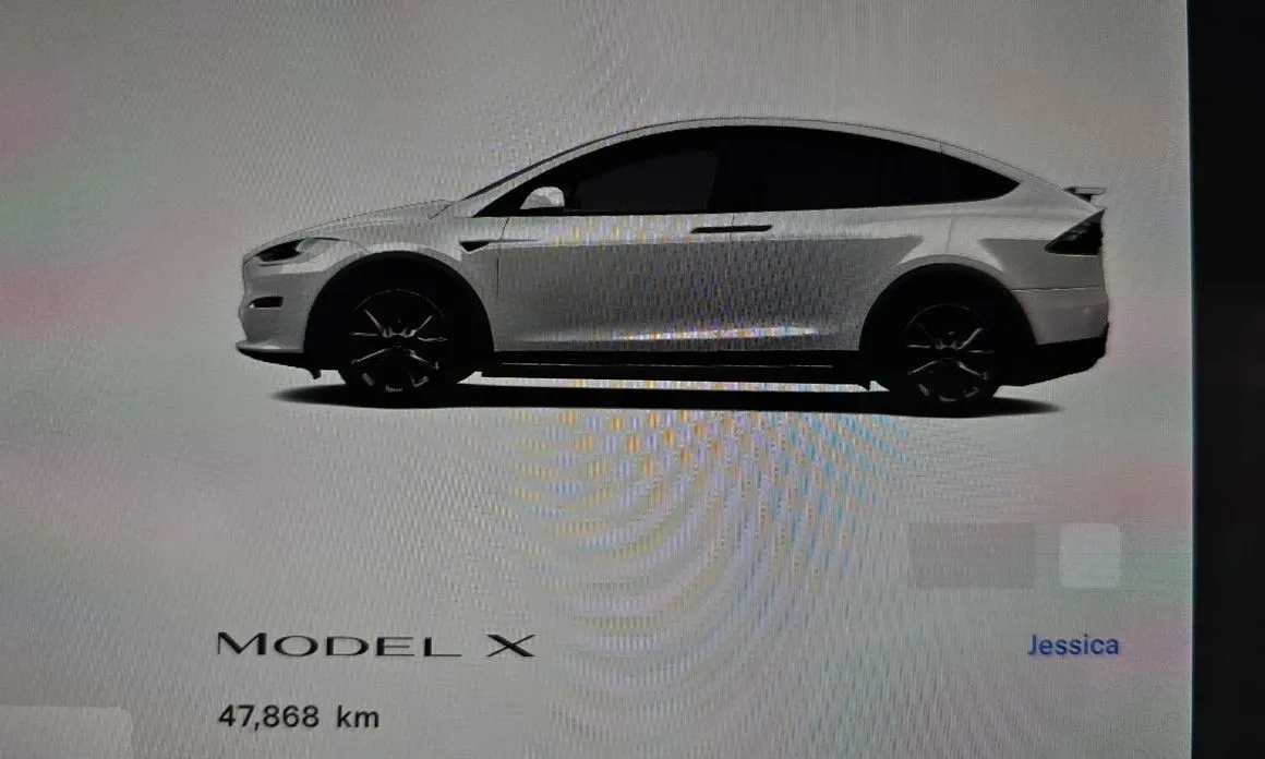 Tesla Model X — фото 4