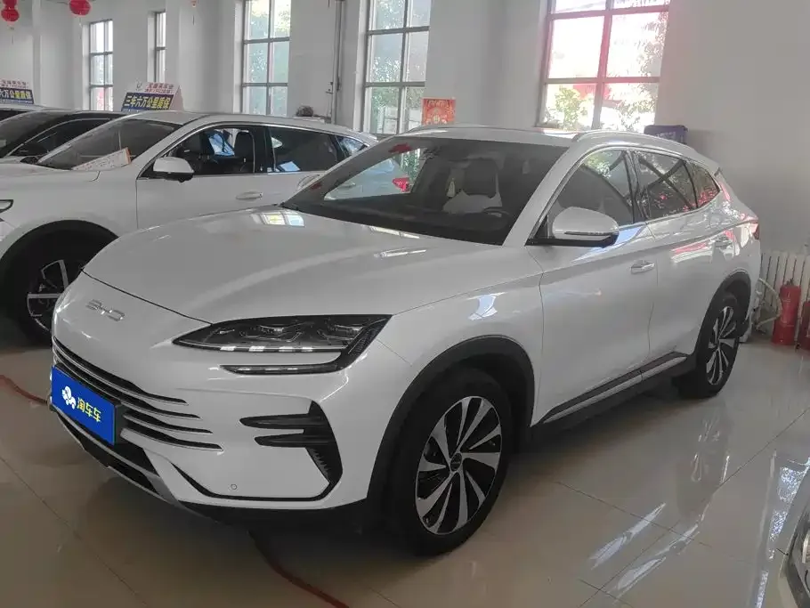 BYD PLUS New Energy — фото 1