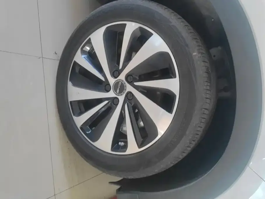 BYD PLUS New Energy — фото 8