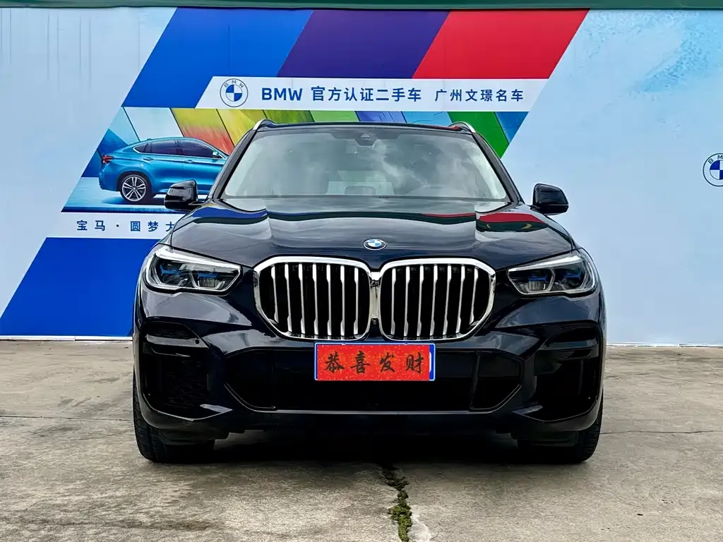 BMW X5 (Import) — фото 3