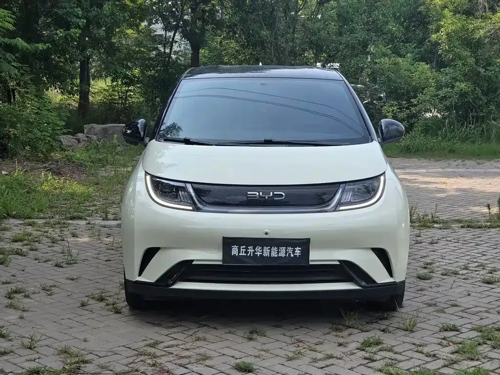 BYD Dolphin