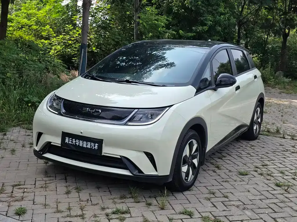 BYD Dolphin 2025 из CN, фото 6