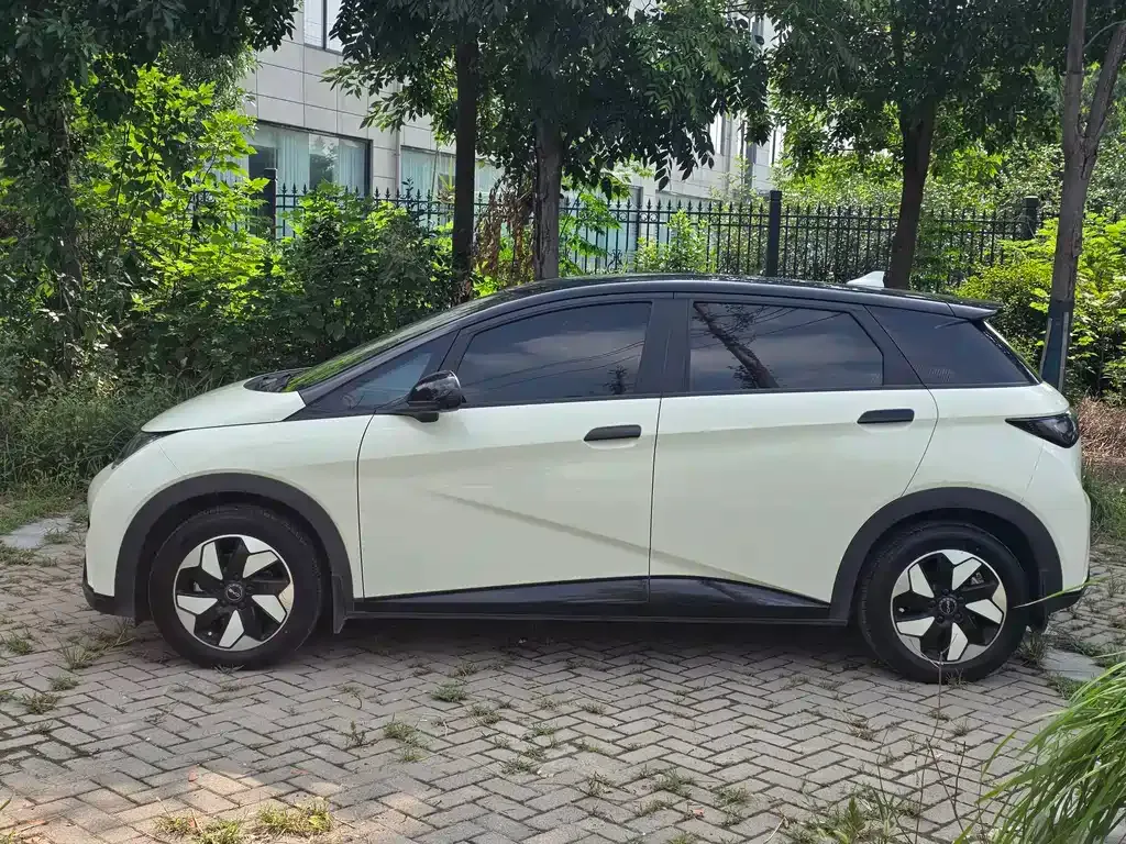 BYD Dolphin 2025 из CN, фото 4