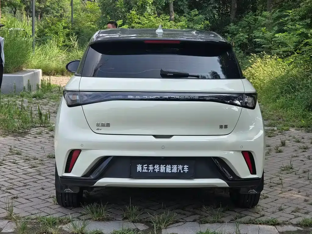 BYD Dolphin 2025 из CN, фото 5