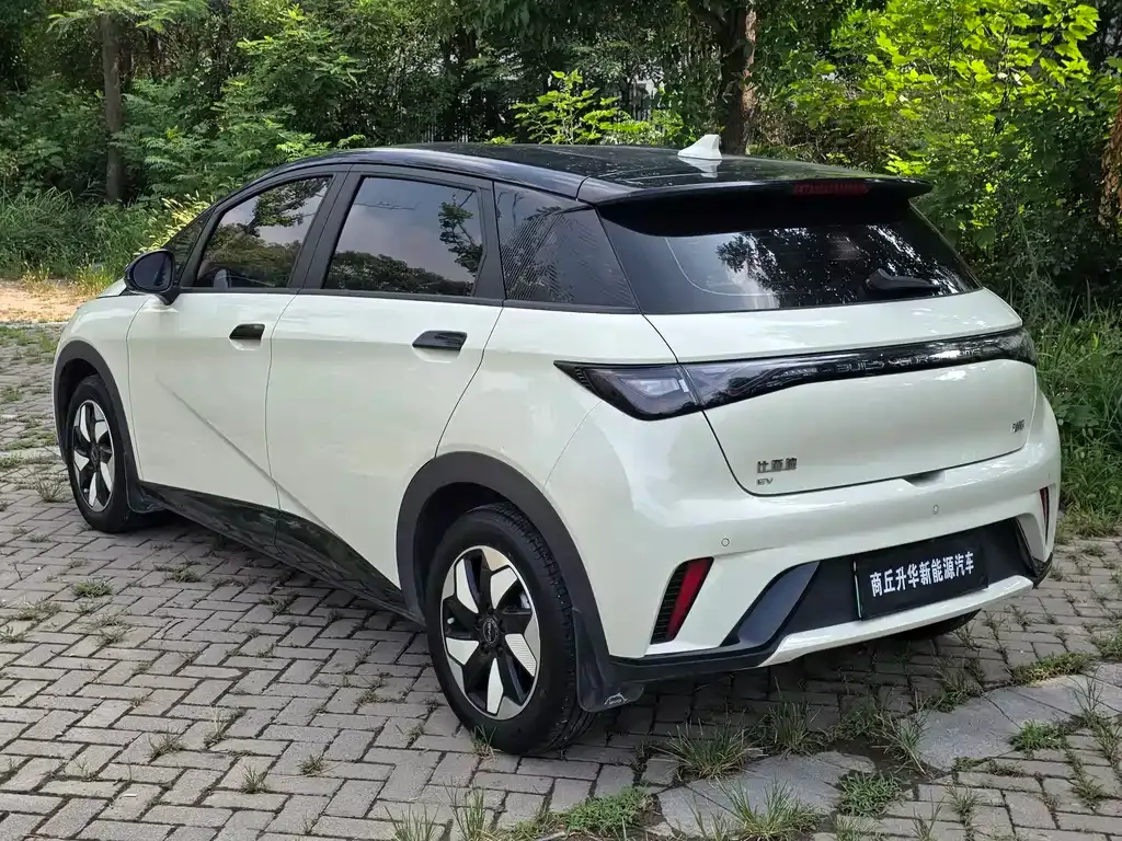BYD Dolphin 2025 из CN, фото 7