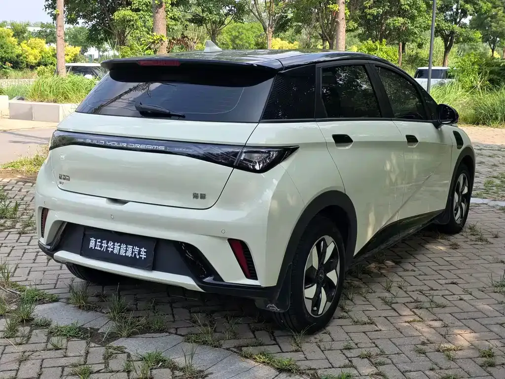 BYD Dolphin 2025 из CN, фото 9