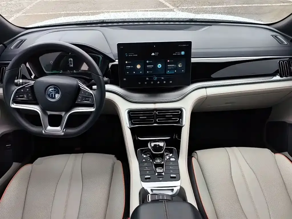BYD PLUS New Energy — фото 10