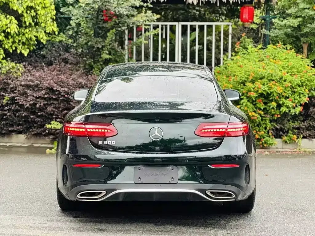 Mercedes-Benz E-Class (Import) — фото 9