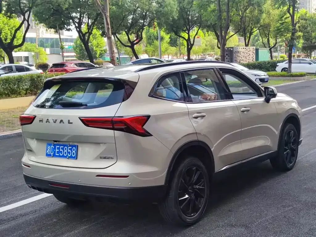 Haval H6 — фото 9