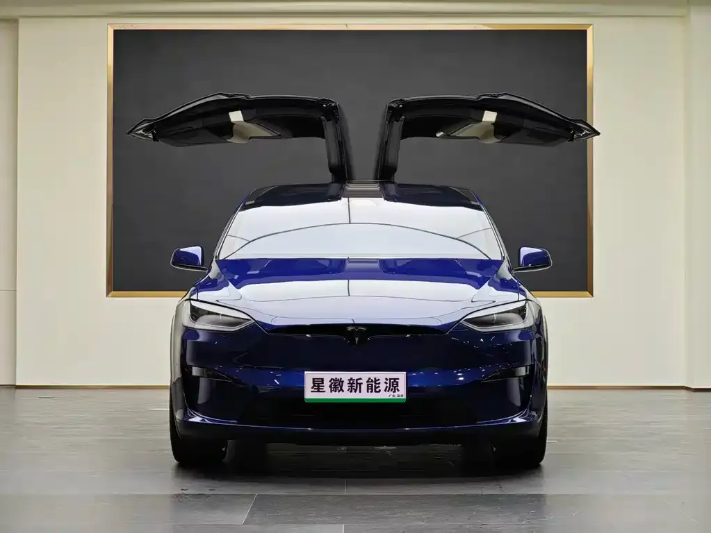 Tesla Model X — фото 4