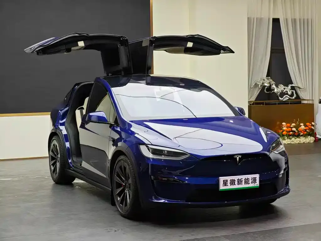 Tesla Model X — фото 7