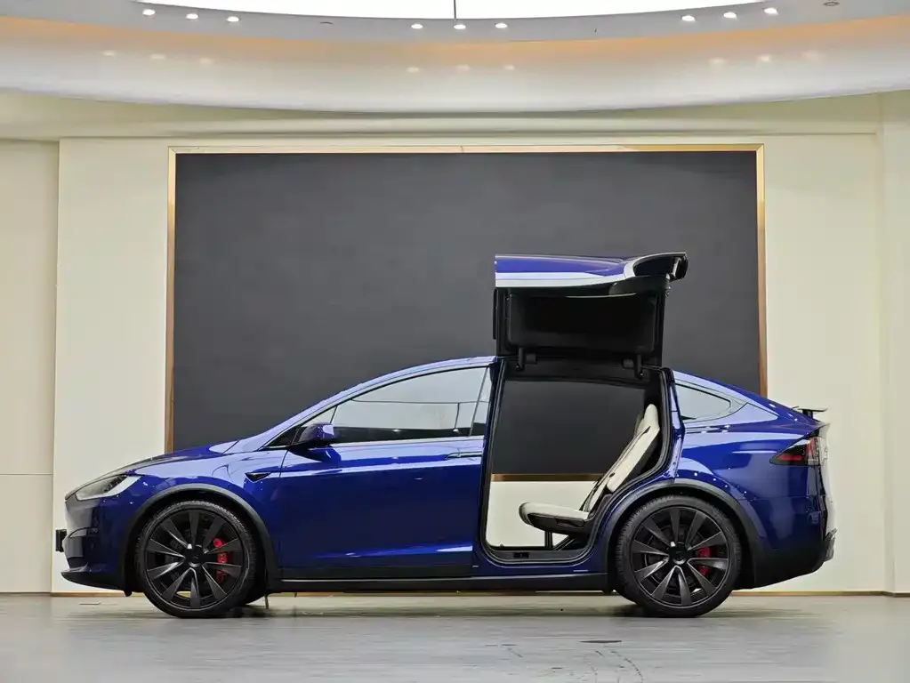 Tesla Model X — фото 10