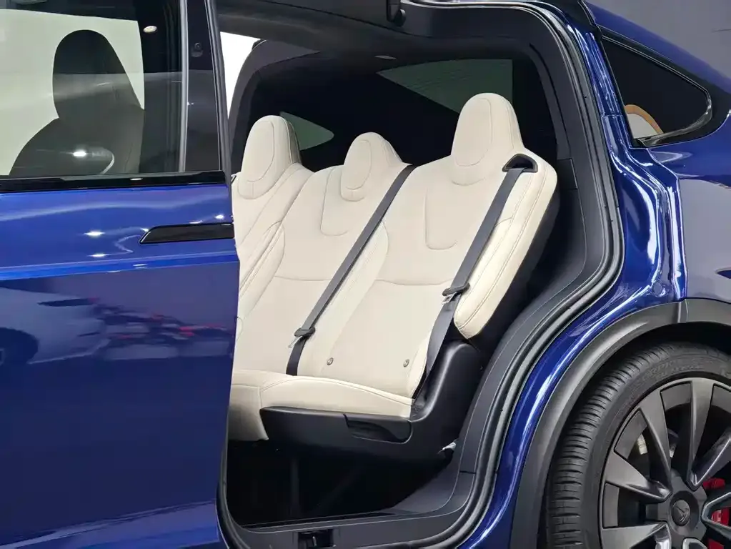 Tesla Model X — фото 8