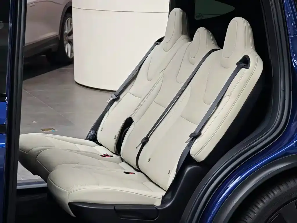 Tesla Model X — фото 6