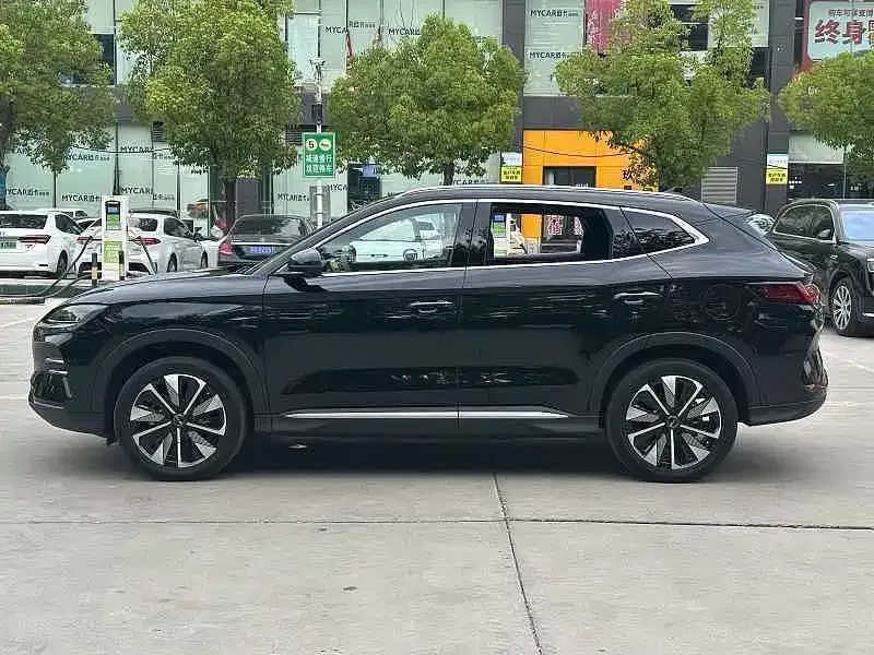 BYD PLUS New Energy — фото 4