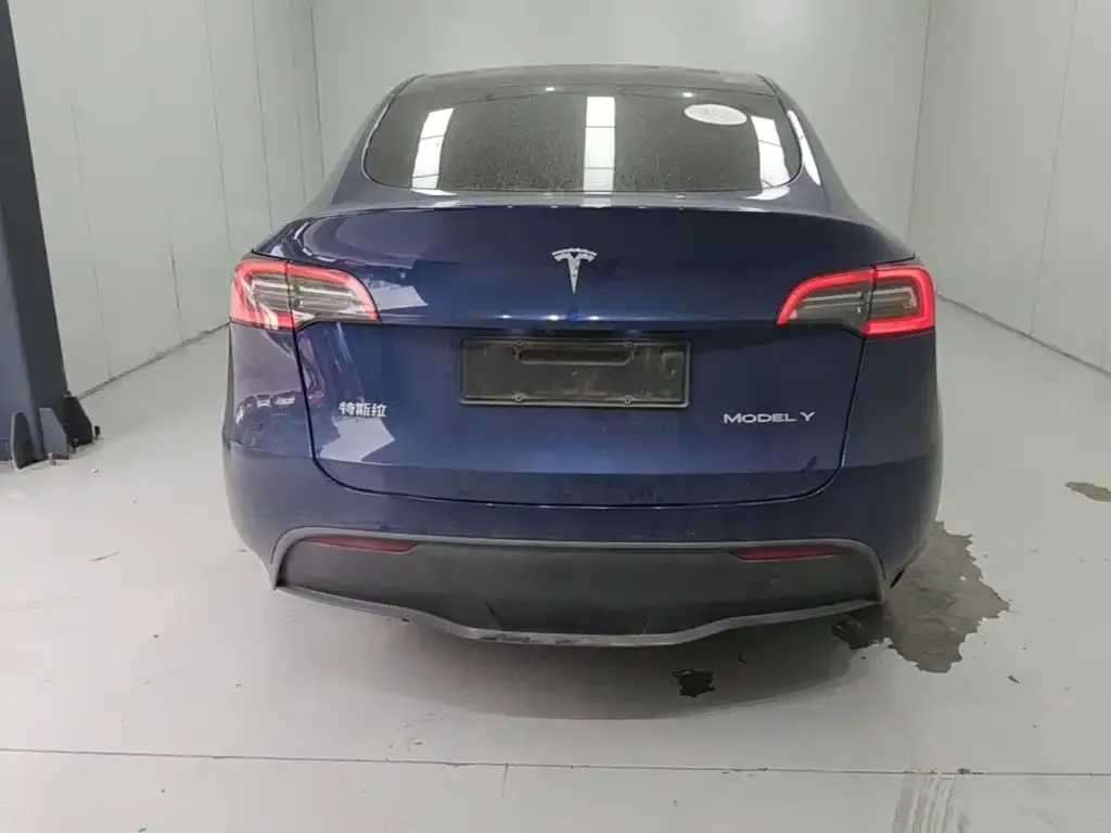 Tesla Model Y — фото 8