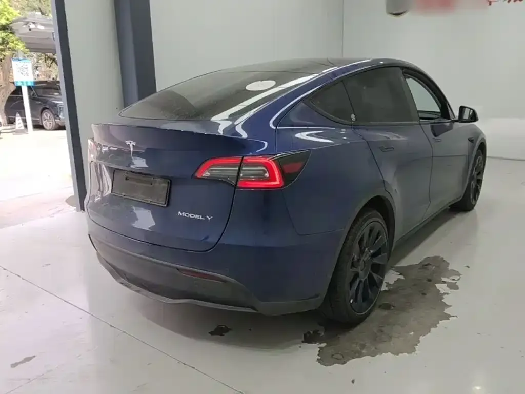 Tesla Model Y — фото 2