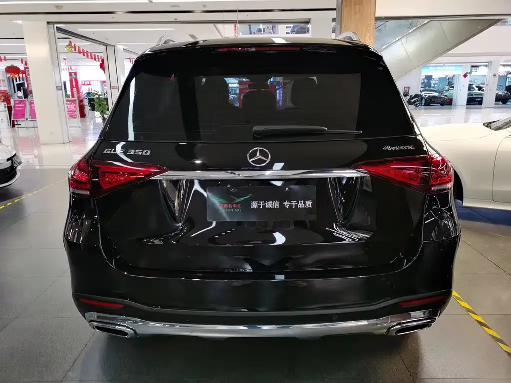 Mercedes-Benz 奔驰GLE(进口) — фото 7