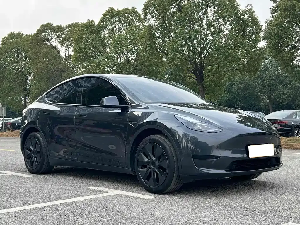 Tesla Model Y — фото 10
