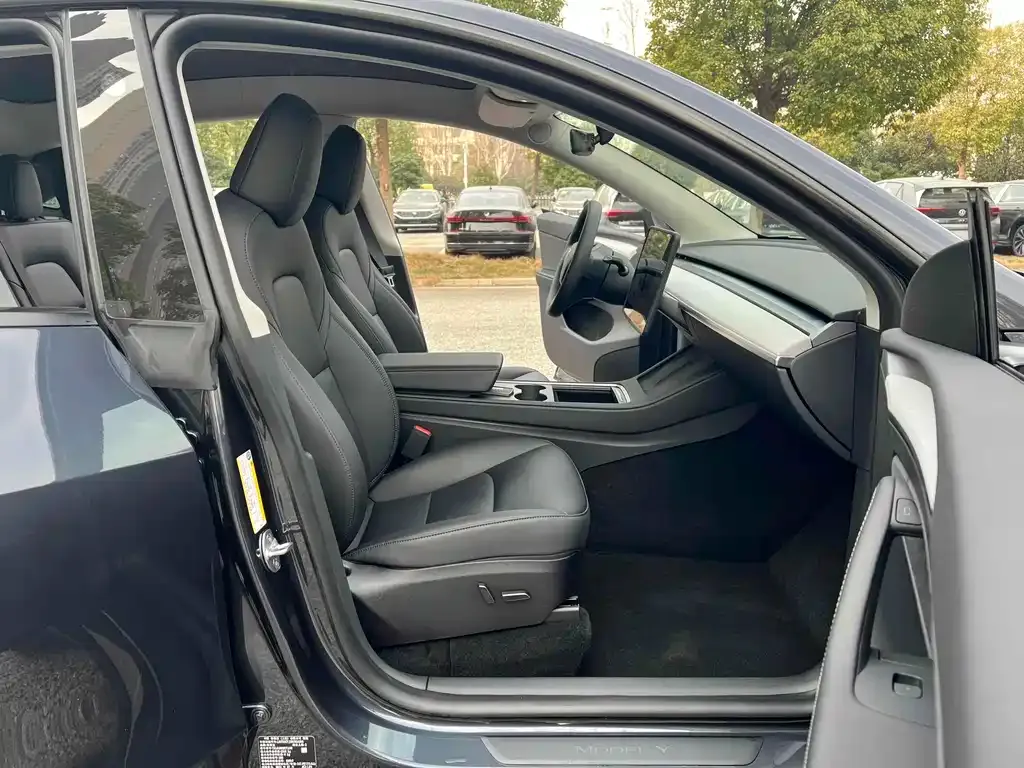 Tesla Model Y — фото 9