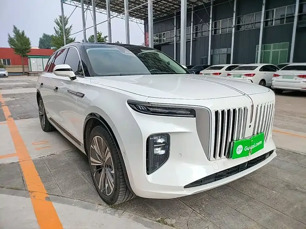 Hongqi E-HS9 — фото 5