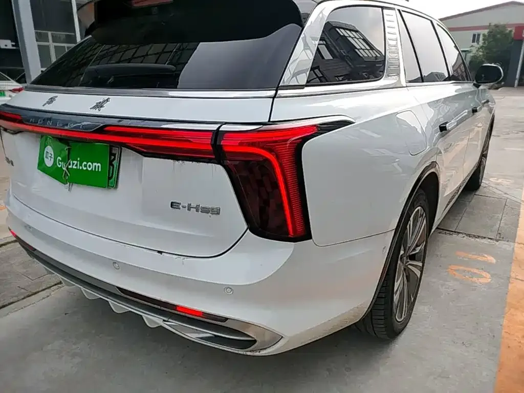Hongqi E-HS9 — фото 10