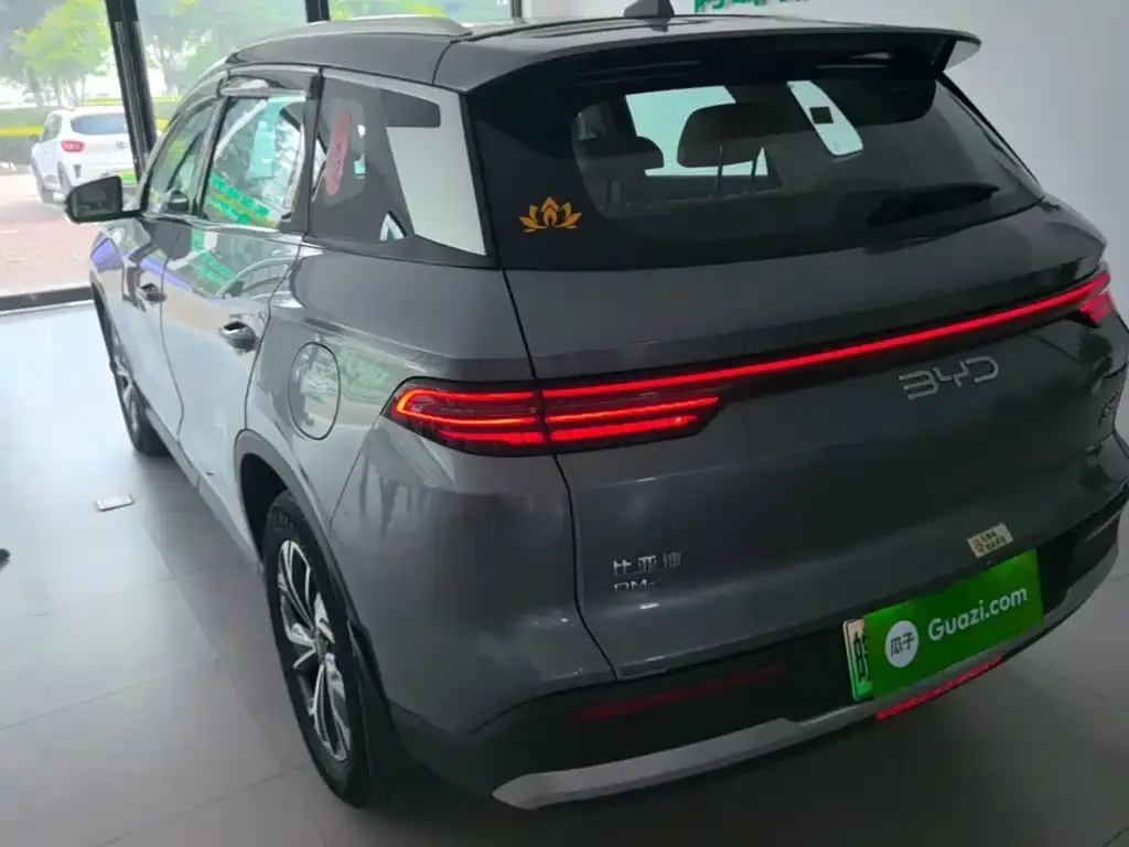 BYD Pro New Energy — фото 3
