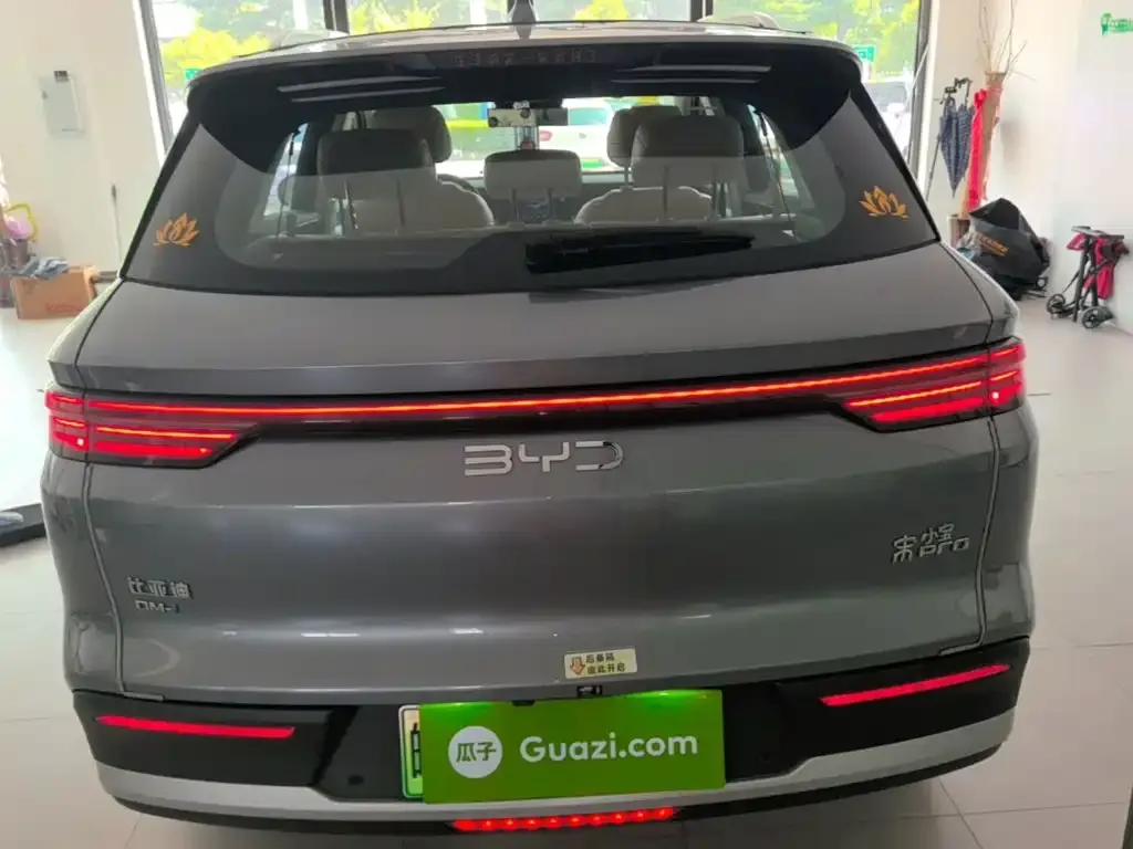 BYD Pro New Energy — фото 2