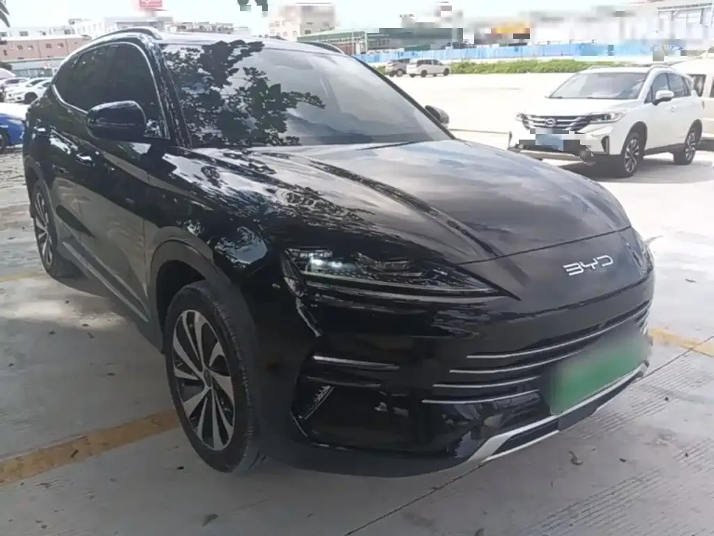 BYD PLUS New Energy — фото 2