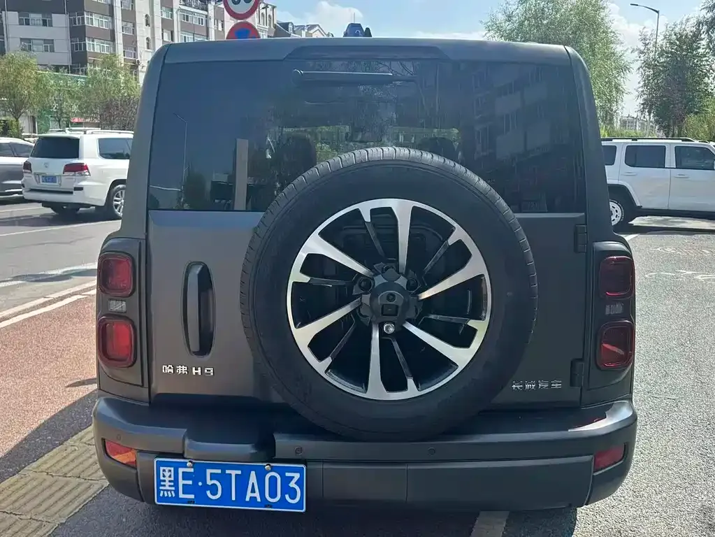Haval H9 2024 из CN, фото 6