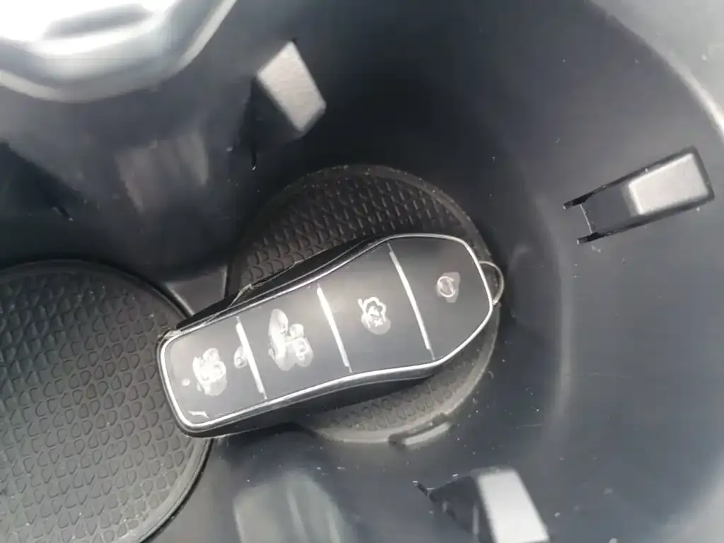 BYD L DM-i — фото 6