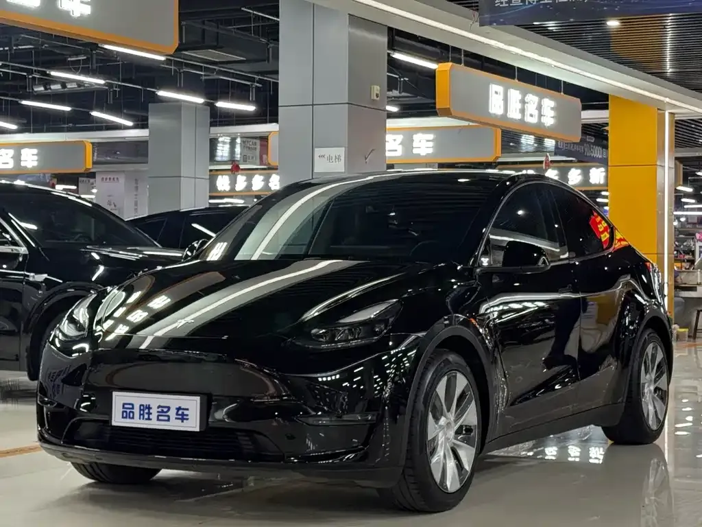 Tesla Model Y — фото 1