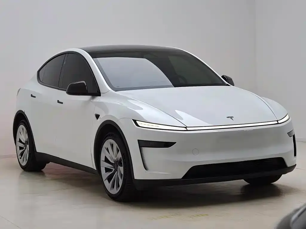 Tesla Model Y — фото 5