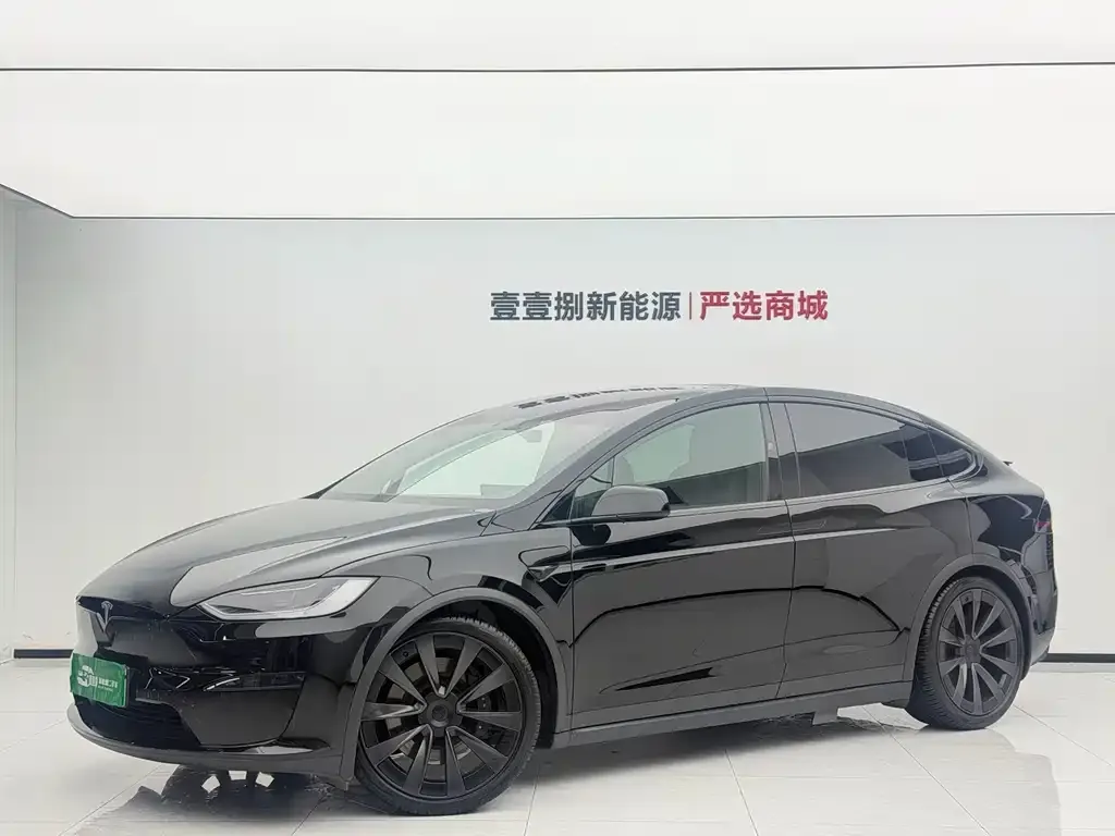 Tesla Model X — фото 1