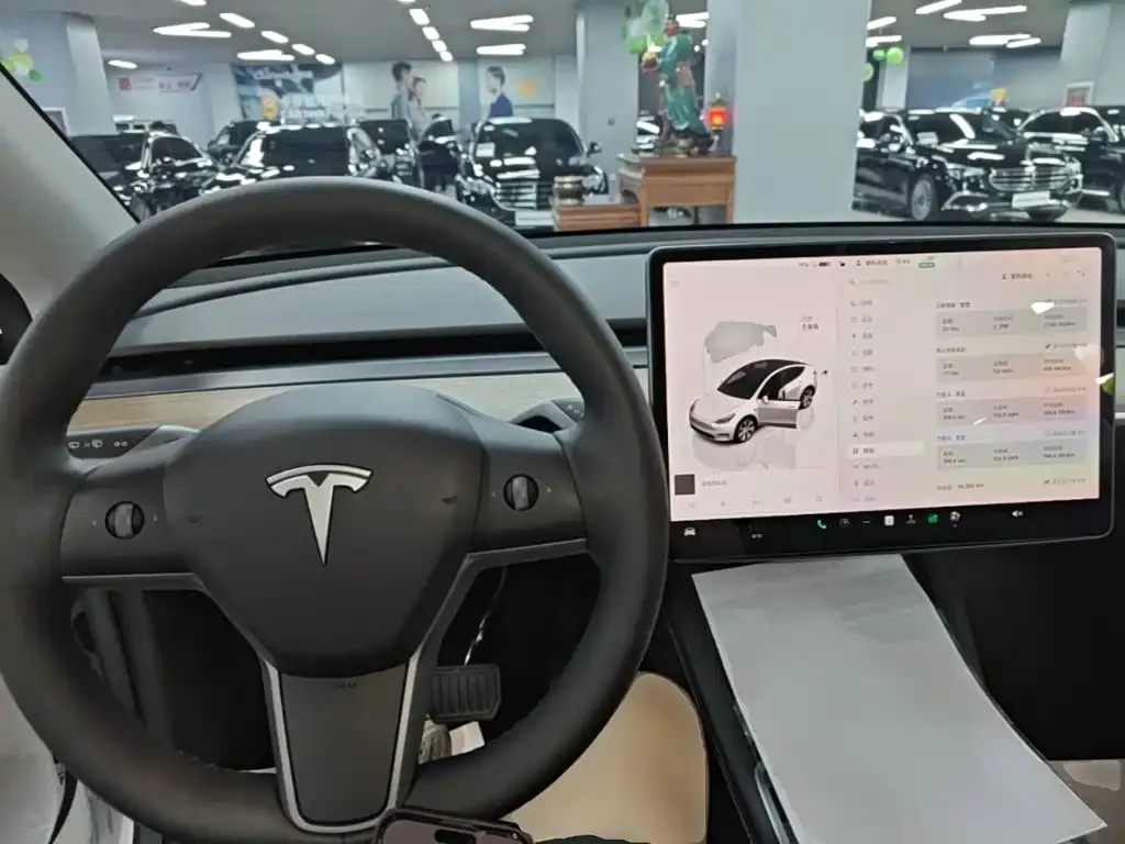 Tesla Model Y — фото 10