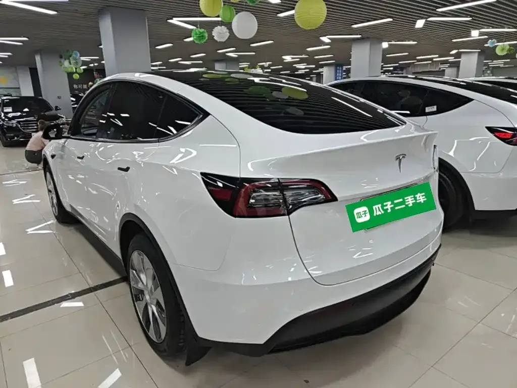 Tesla Model Y — фото 8