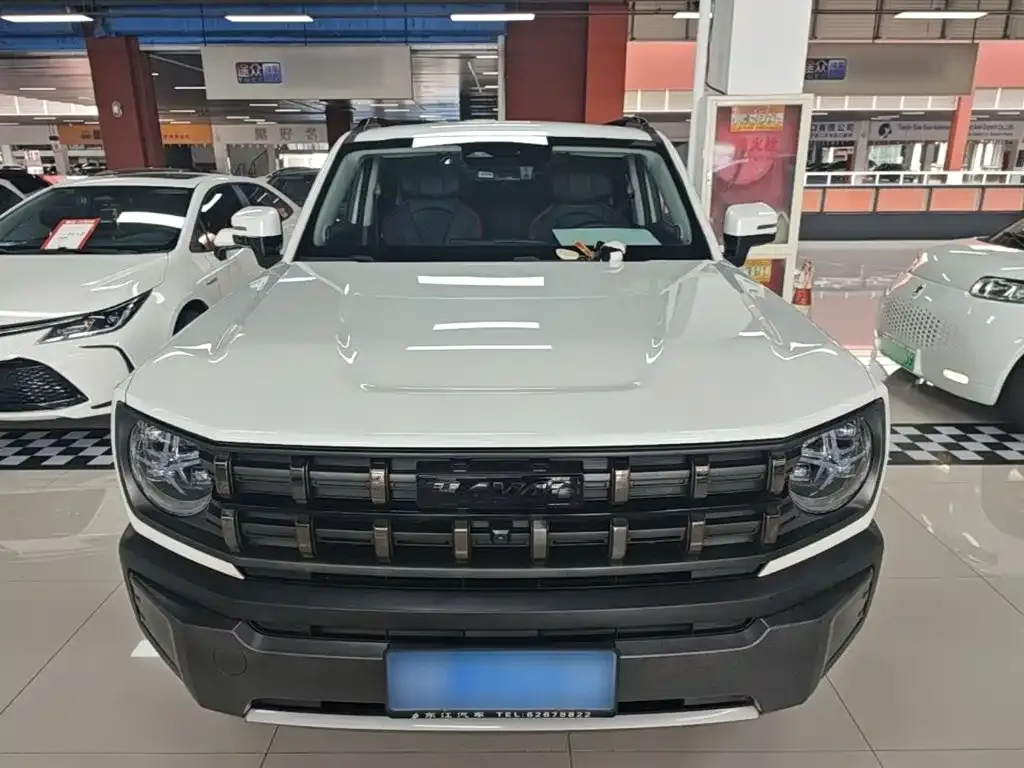 Haval Cool Dog — фото 10