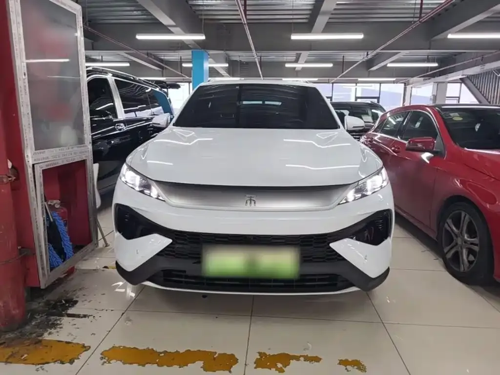 BYD Pro New Energy — фото 9