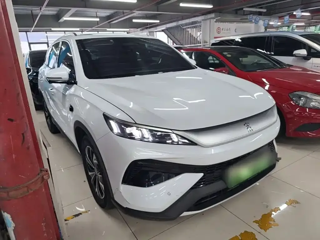 BYD Pro New Energy — фото 10