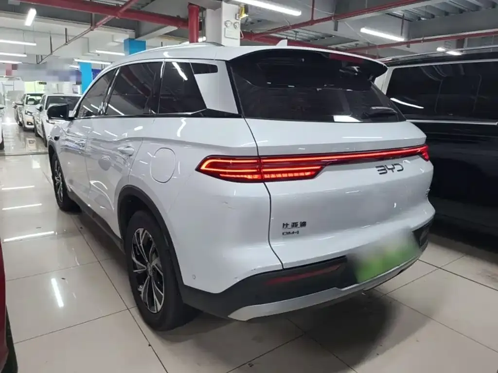 BYD Pro New Energy — фото 6