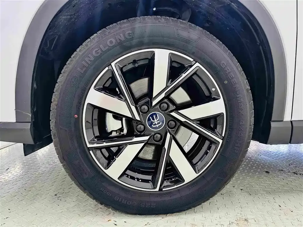 BYD Pro New Energy — фото 10