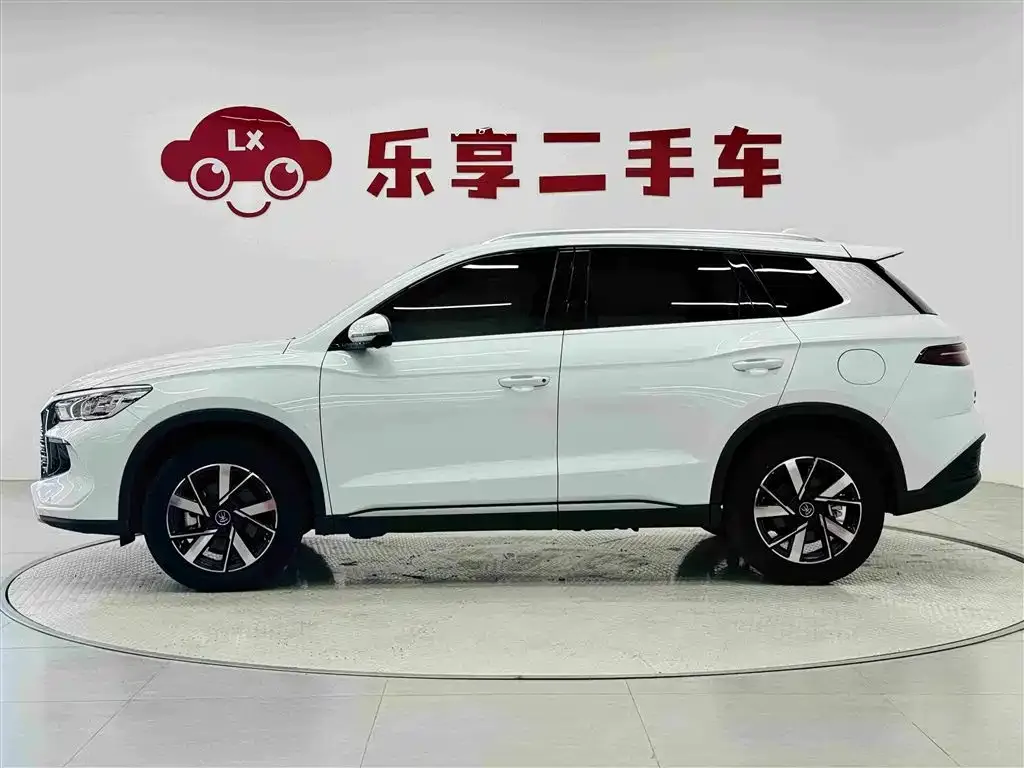 BYD Pro New Energy — фото 4